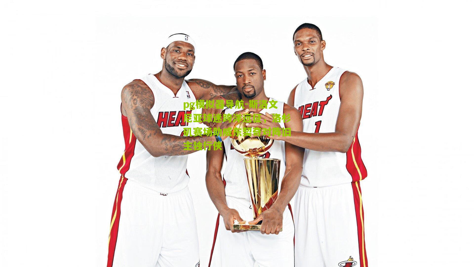 斯洛文尼亚球迷跨洋远征,洛杉矶赛场助威东契奇对阵旧主独行侠